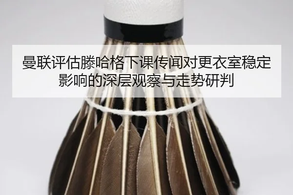 img_1782231911252_2_1_824.jpg