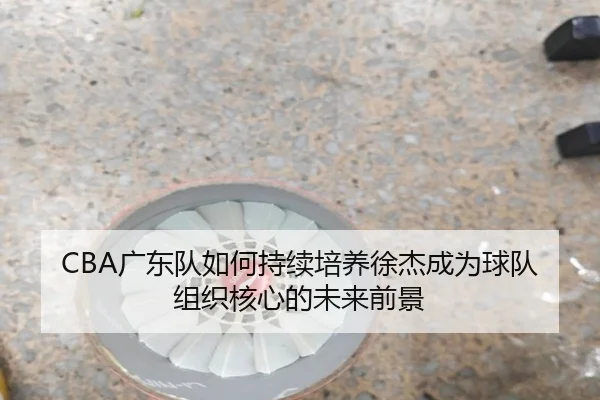 CBA广东队如何持续培养徐杰成为球队组织核心的未来前景